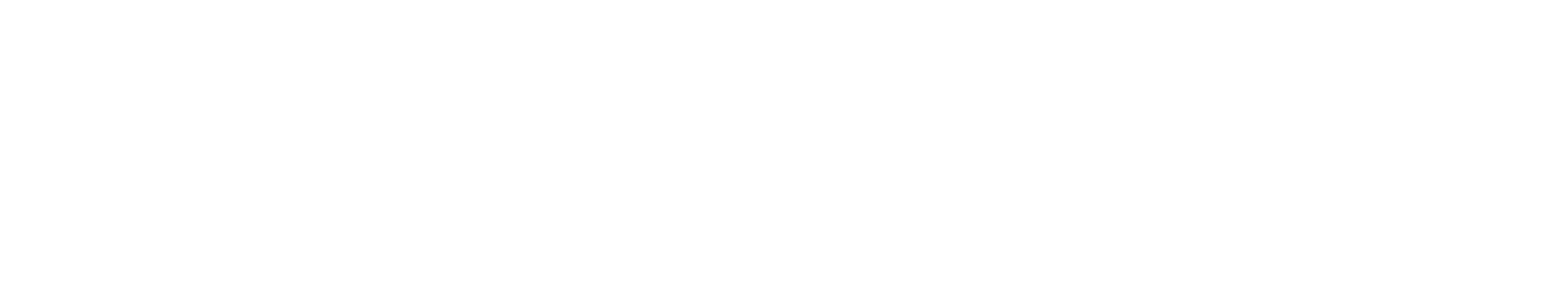 HOLLY YASHI INC logo