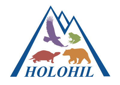 HOLOHIL SYSTEMS LIMITED logo