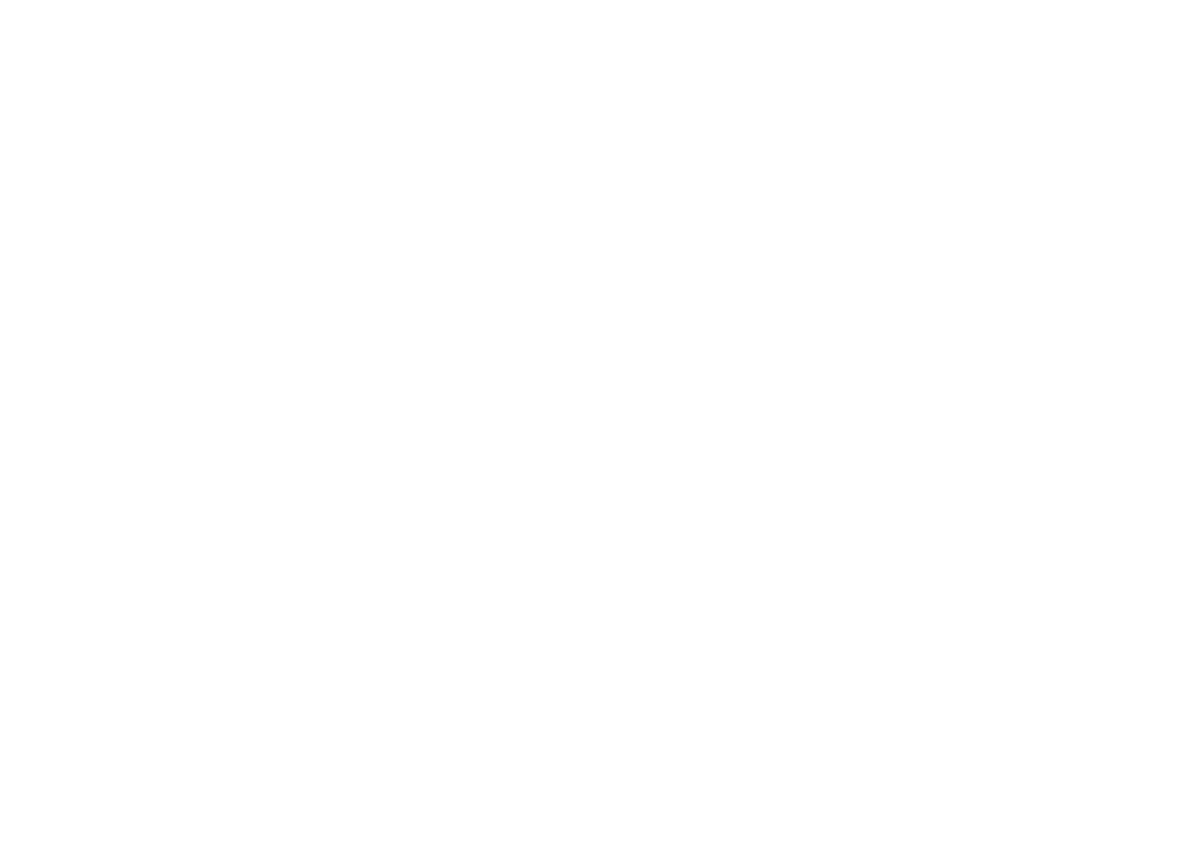 HONU SOLUTIONS GROUP logo