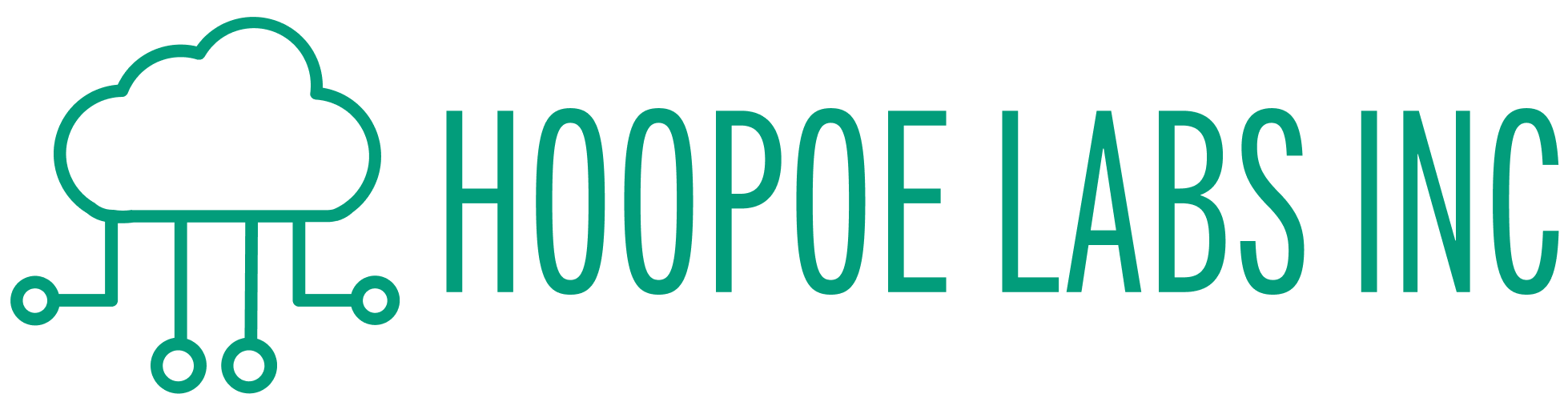 HOOPOE LABS INC logo