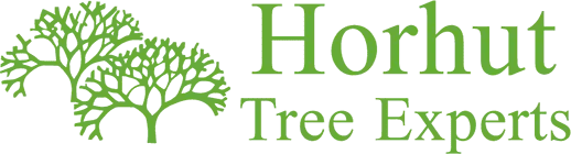 HORHUT TREE EXPERTS LLC logo