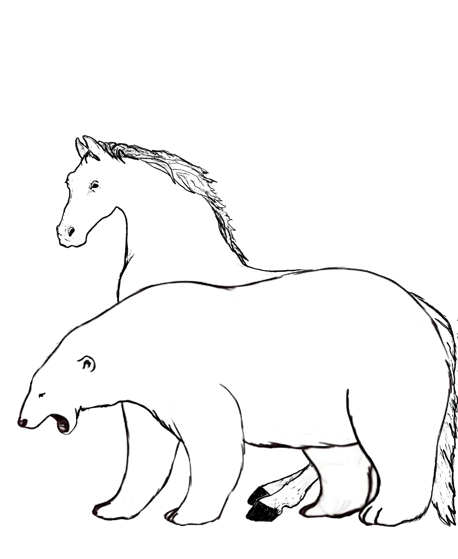 HORSE-N-BEAR RANCH logo