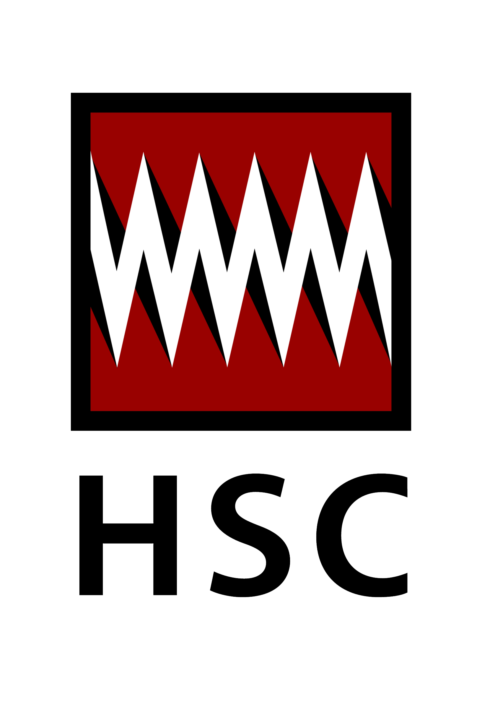 HOSPITAL SERVICES CORP logo