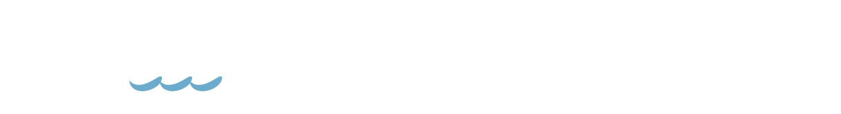 HYDROMETRICS INC logo