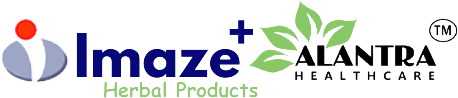 I-MAZE LLC logo