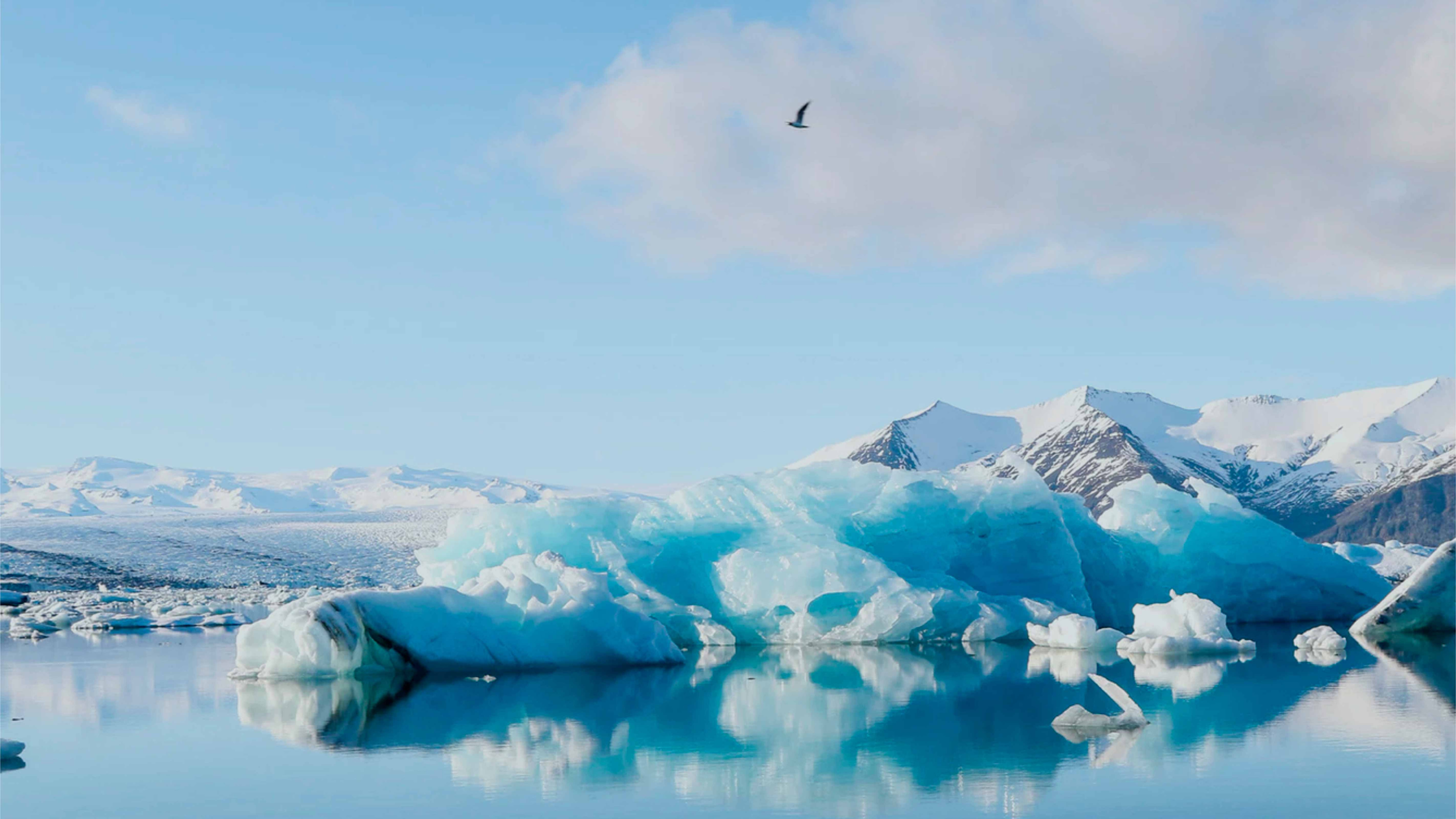 ICEBERG REFRIGERATION SUPPLIES, LLC logo