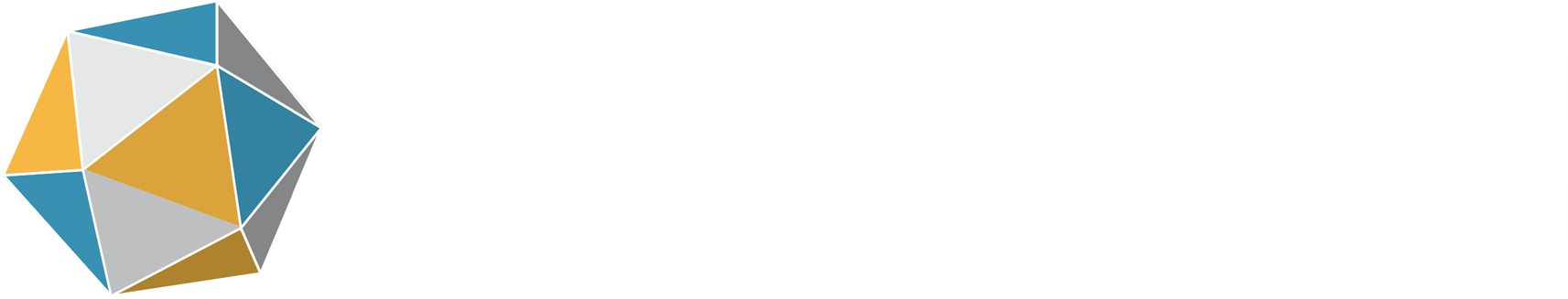ICOSAGON LLC logo