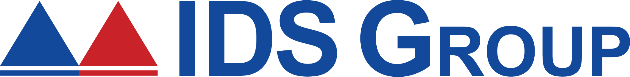 IDS GROUP INC logo