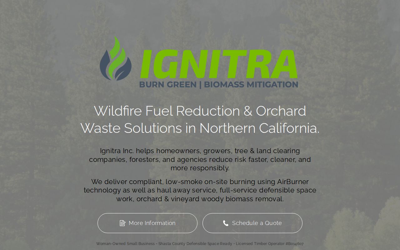IGNITRA INC logo