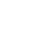 IGNYTE ASSURANCE PLATFORM logo
