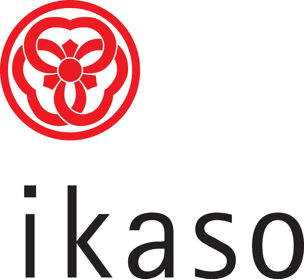 IKASO CONSULTING, LLC logo