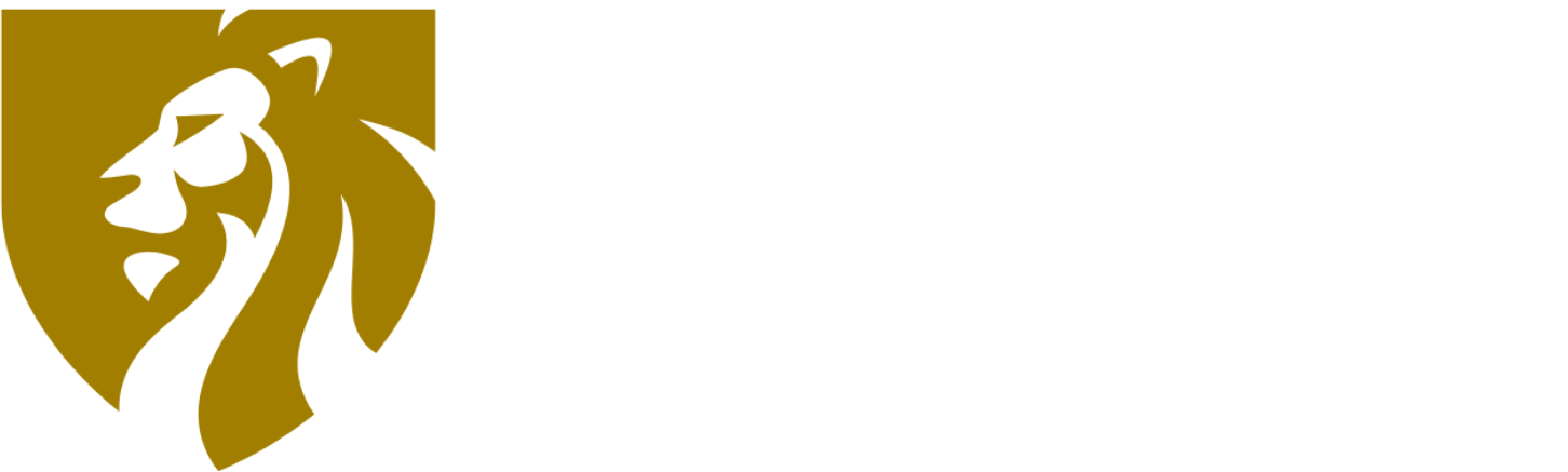 IMMACULATE MANAGEMENT GROUP INC logo