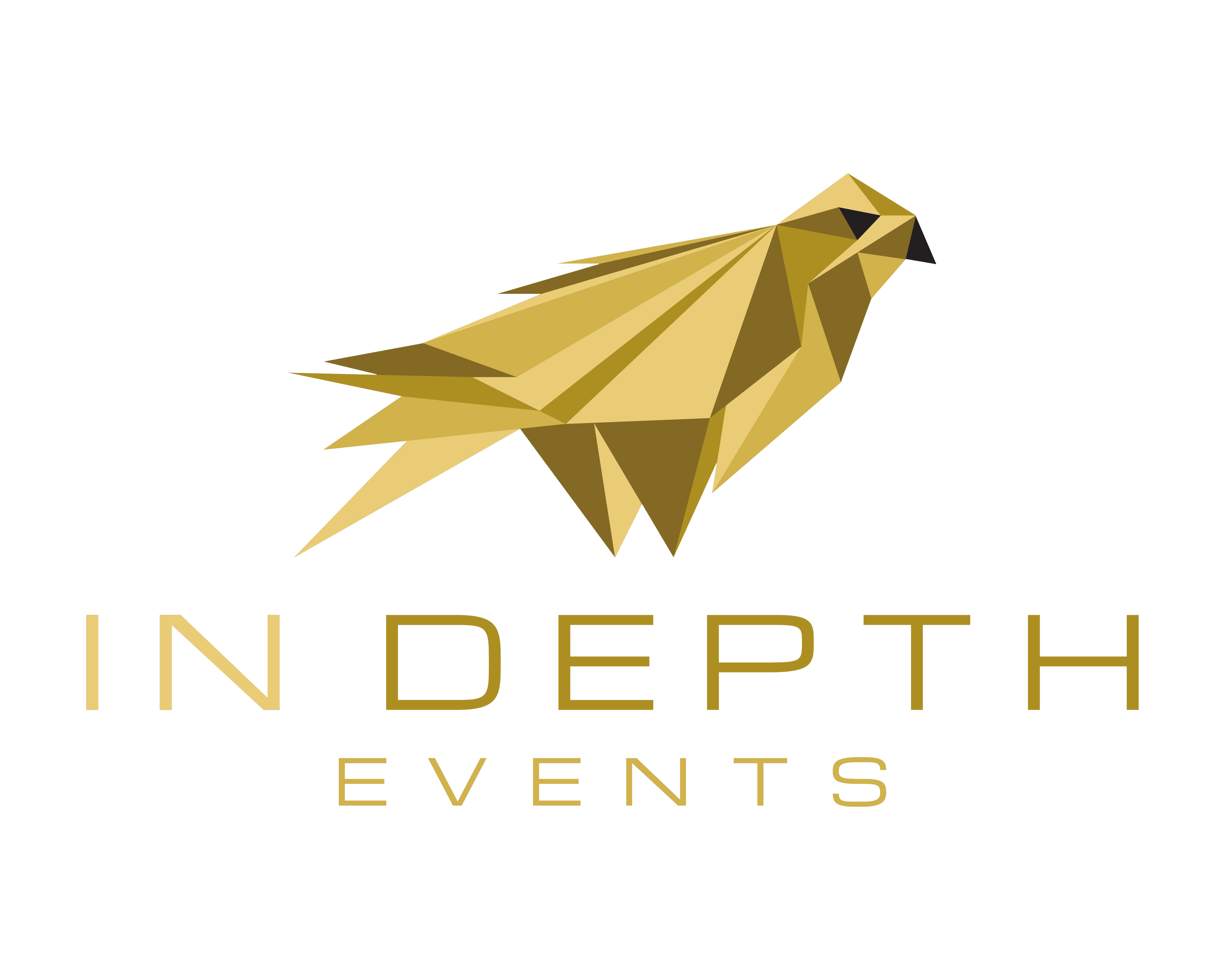 IN DEPTH EVENTS logo