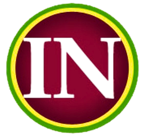 INCARE GLOBAL USA LLC logo