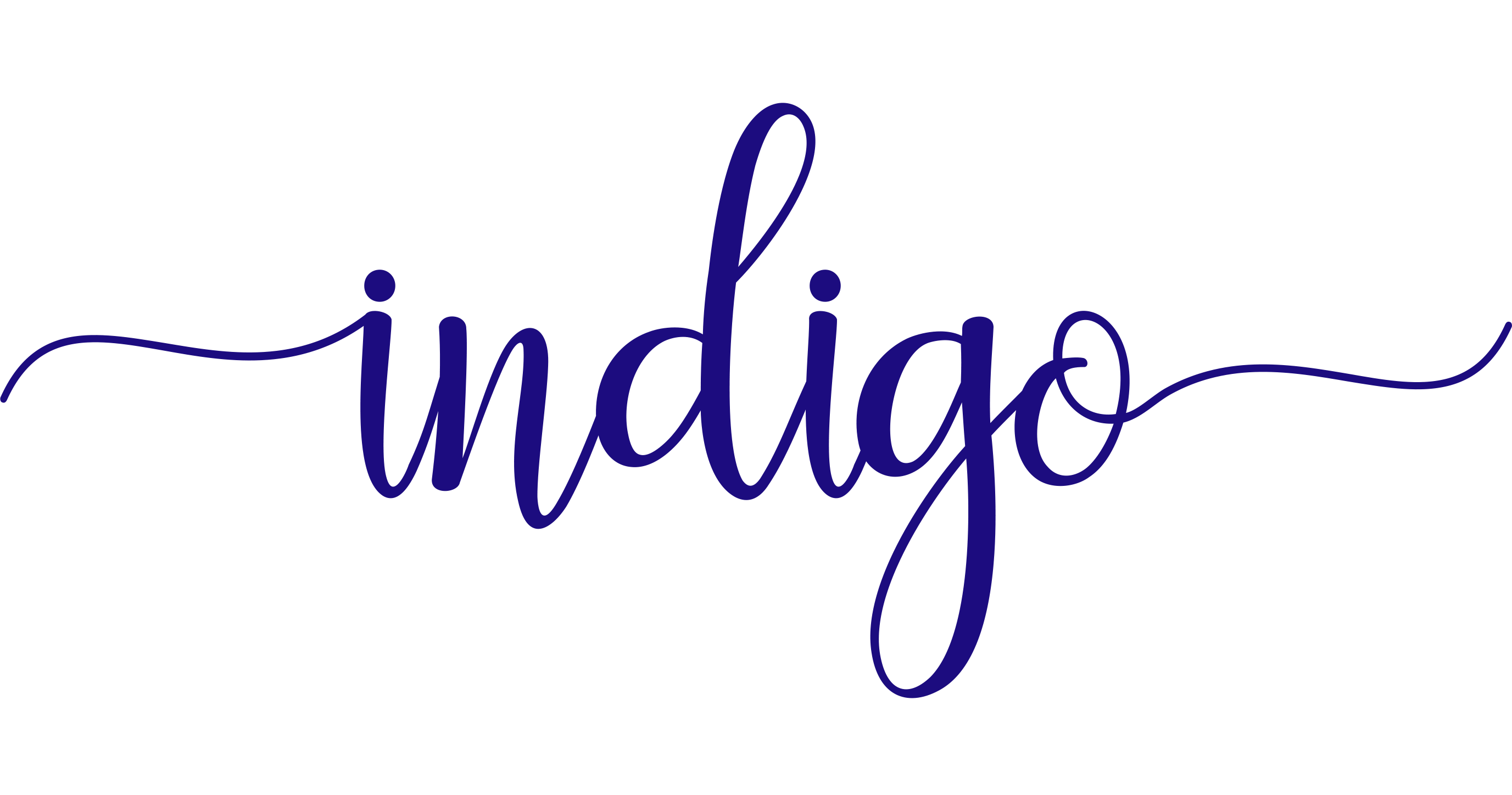 INDIGO PLANNING LLC logo