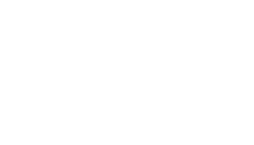 INDUSTRIAL ECONOMICS INC logo