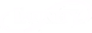 INFINITY SOFTWARE DEVELOPMENT INC logo