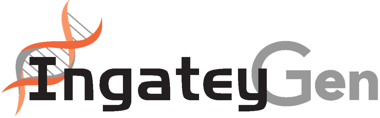 INGATEYGEN LLC logo