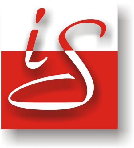 INNOVATIVE STRATEGIES logo