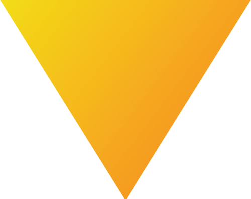 INRULE TECHNOLOGY INC logo