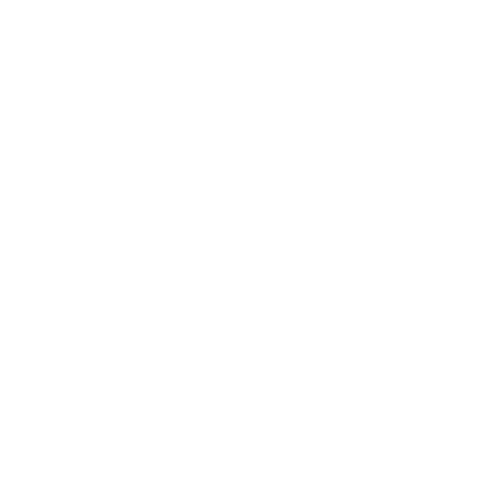 INSIDER INTEGRATION LLC logo