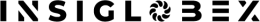 INSIGLOBEX LLC logo