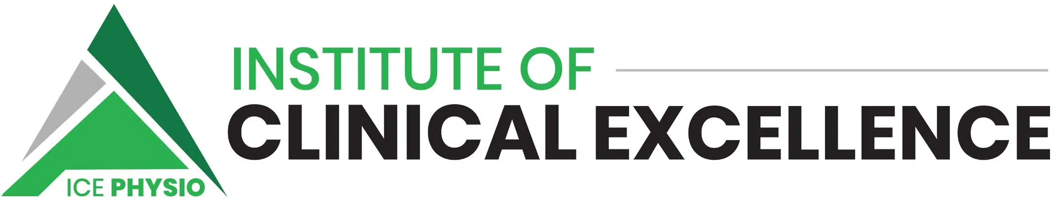 INSTITUTE OF CLINICAL EXCELLENCE, INC logo