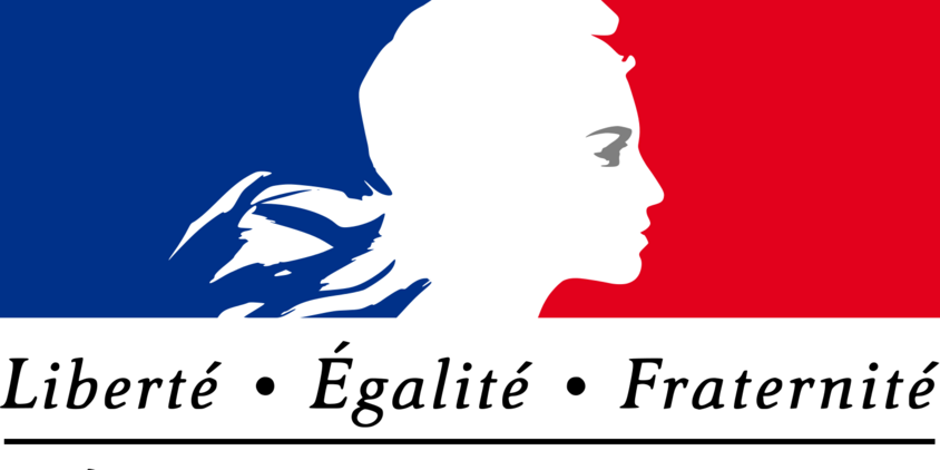 INTEGRATED SUPPORT SYSTEMS INC logo