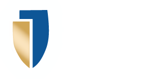 INTELLECTUAL PROPERTY SHIELD logo