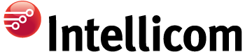 INTELLICOM COMPUTER CONSULTING, INC logo