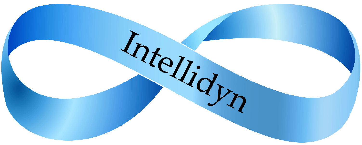INTELLIDYN LLC logo