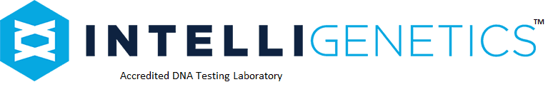 INTELLIGENETICS LLC logo