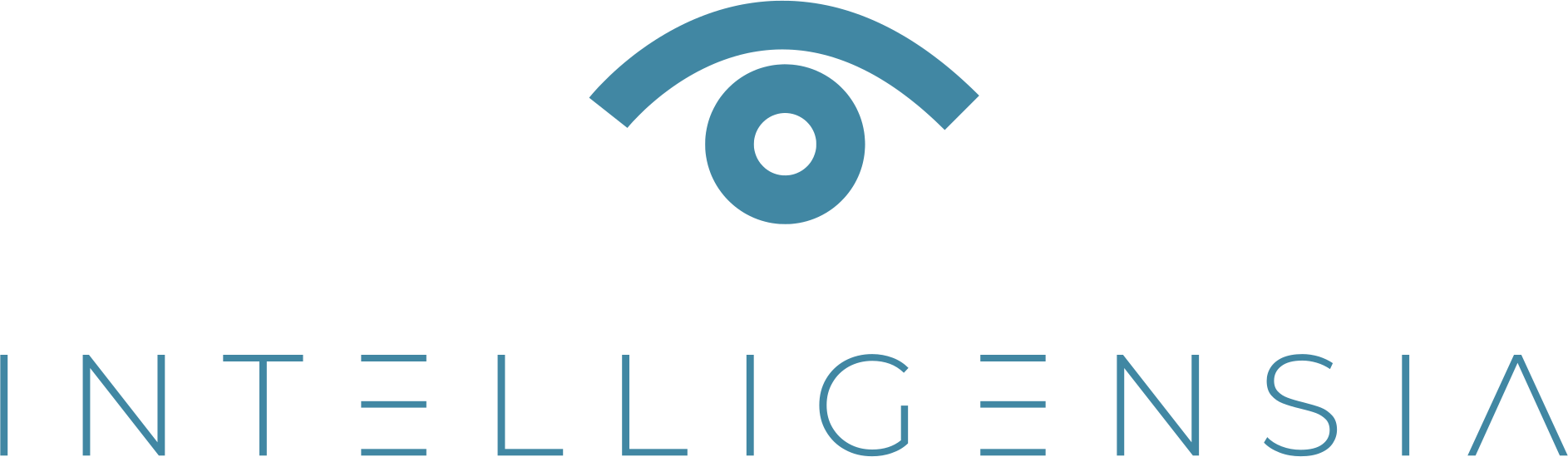 INTELLIGENSIA LLC logo