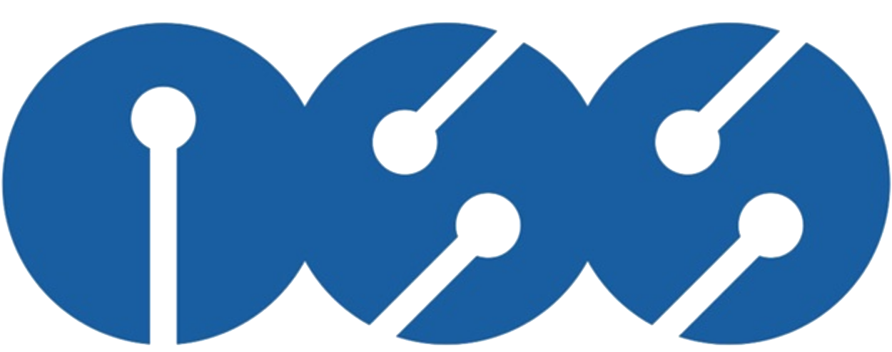 INTELLIGENT SYSTEMS SERVICES INC logo