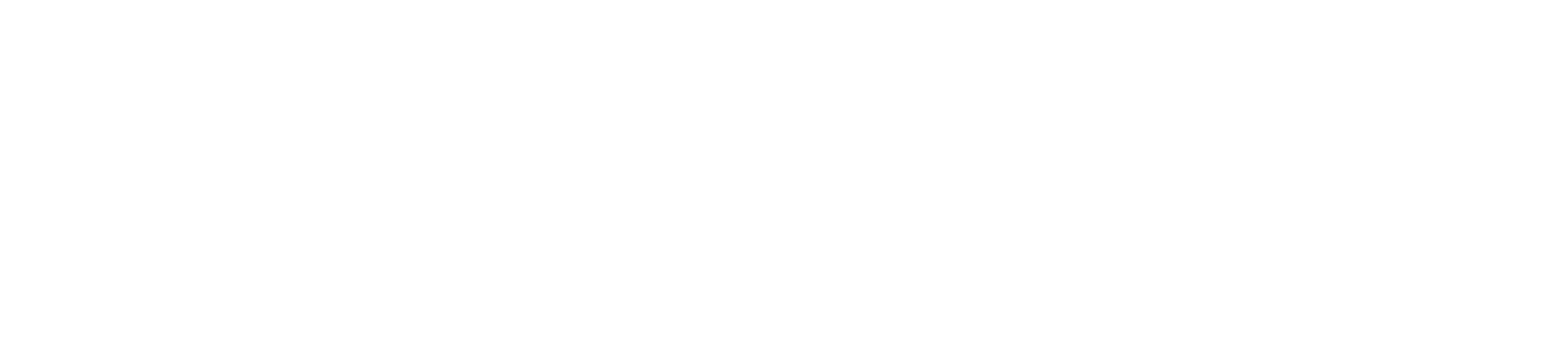 INTELLIPRO SECURITY LLC logo