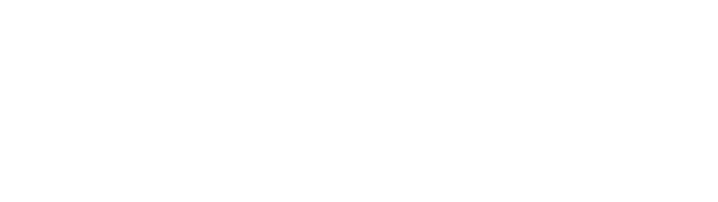INTERMAX NETWORK logo