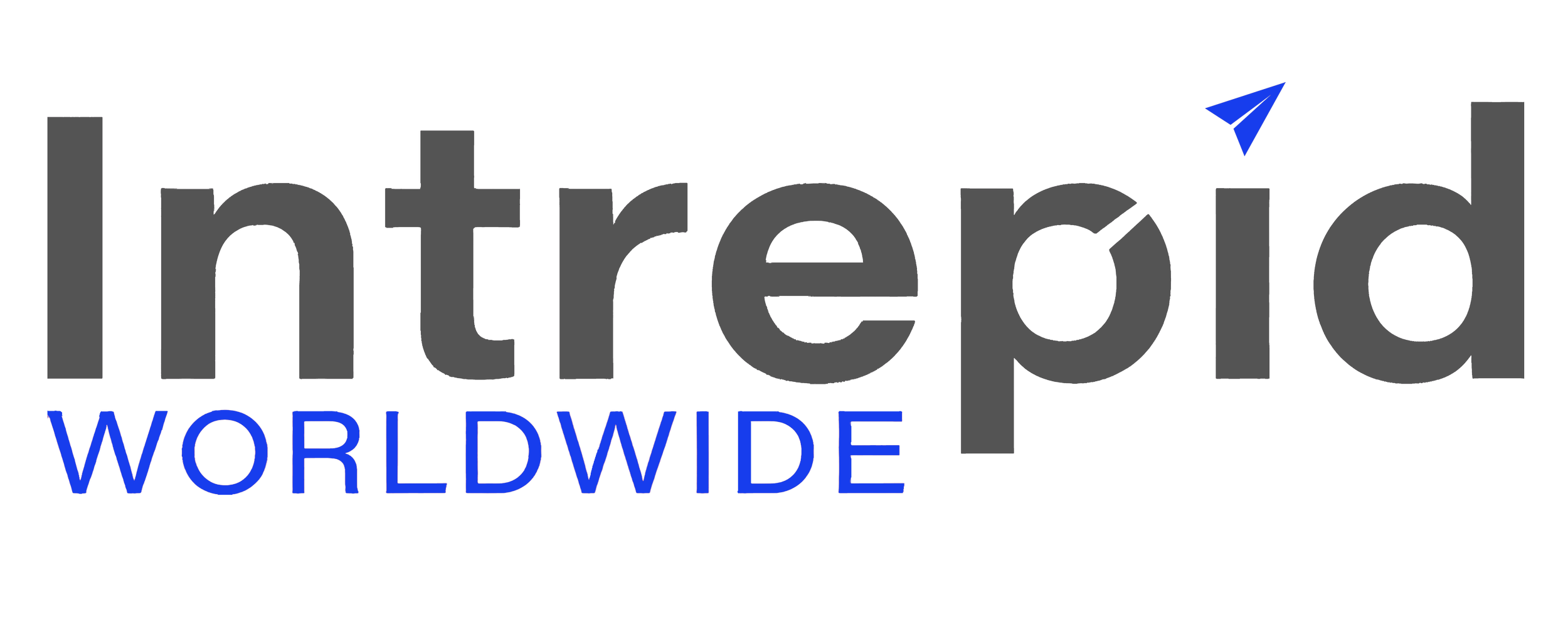 INTREPID WORLDWIDE, LLC logo