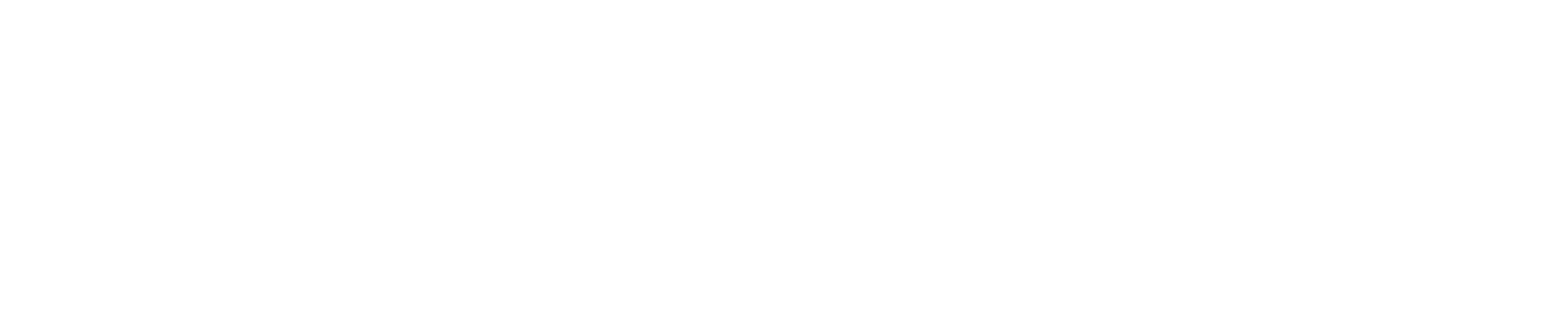 INVIVIA INC logo
