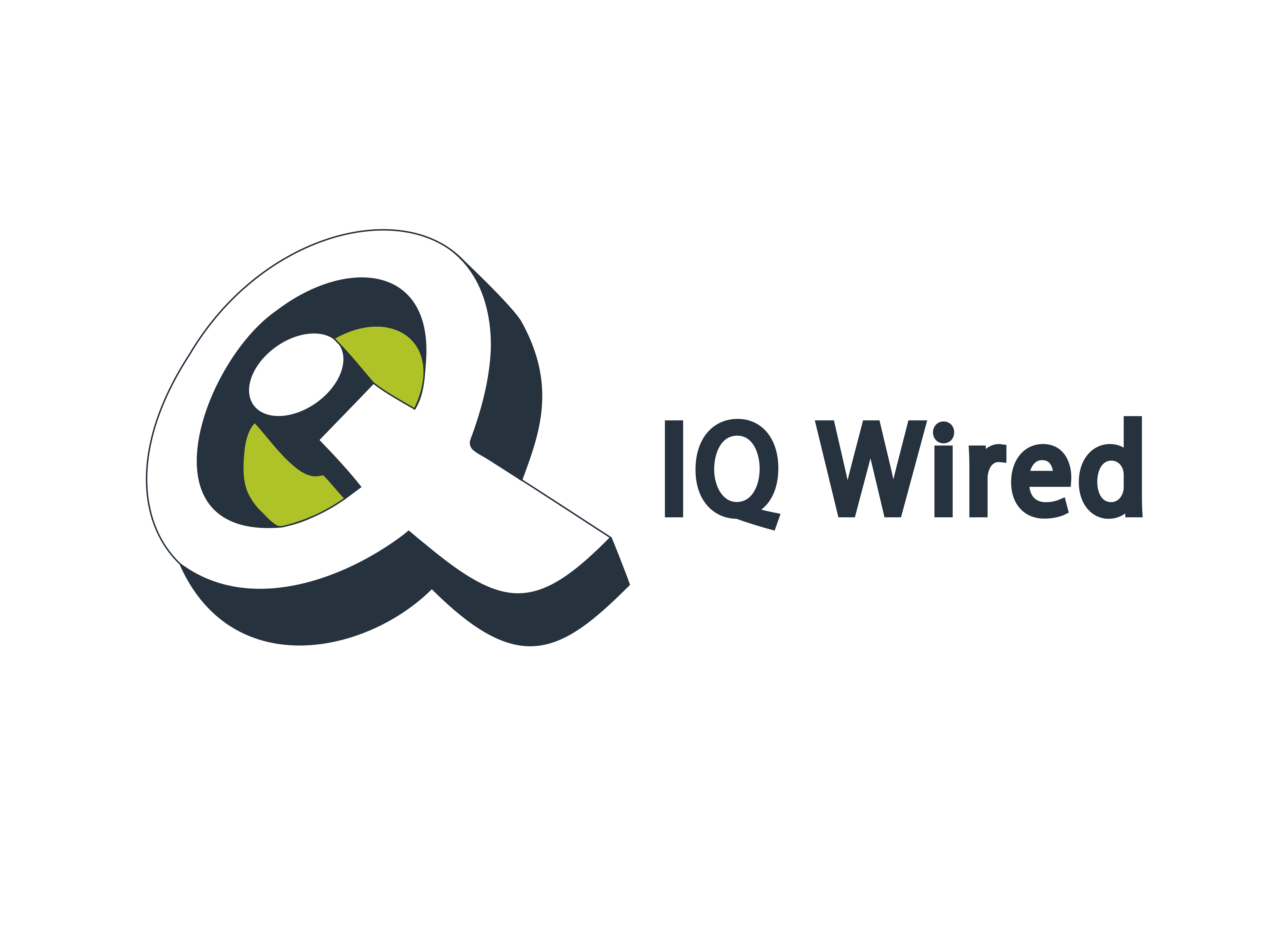 IQWIRED INC logo