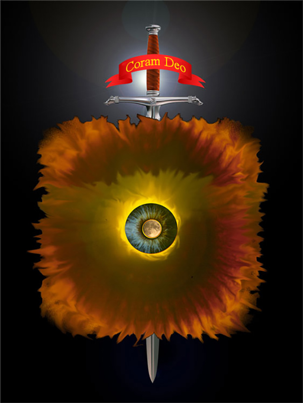 IRIS IMAGING logo