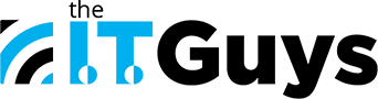 IT GUYS, LLC logo