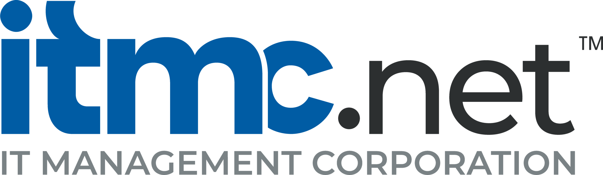 IT MANAGEMENT CORP logo