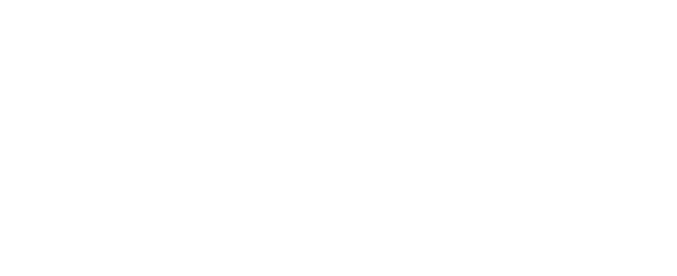 IVYSYS TECHNOLOGIES LLC logo