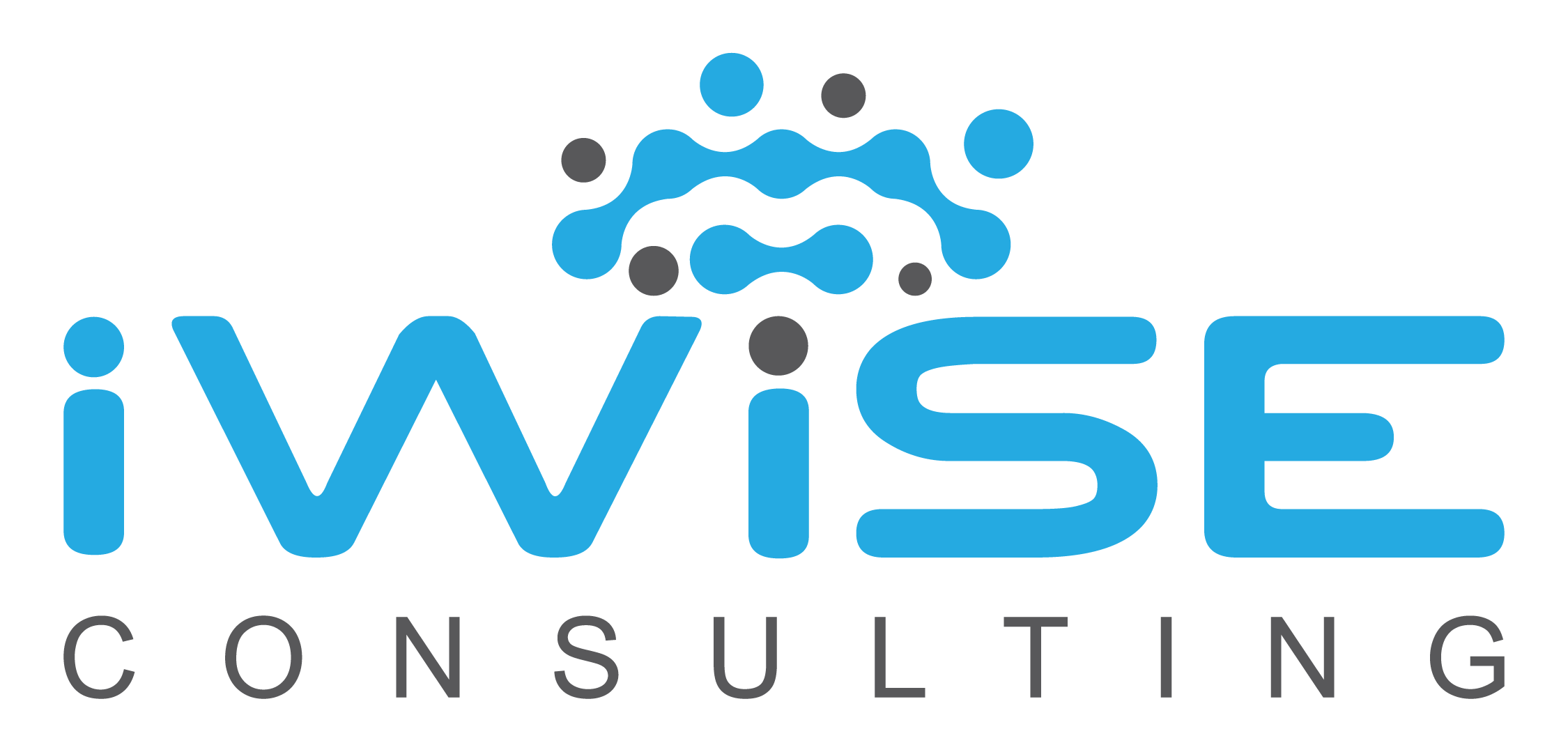 IWISE CONSULTING logo