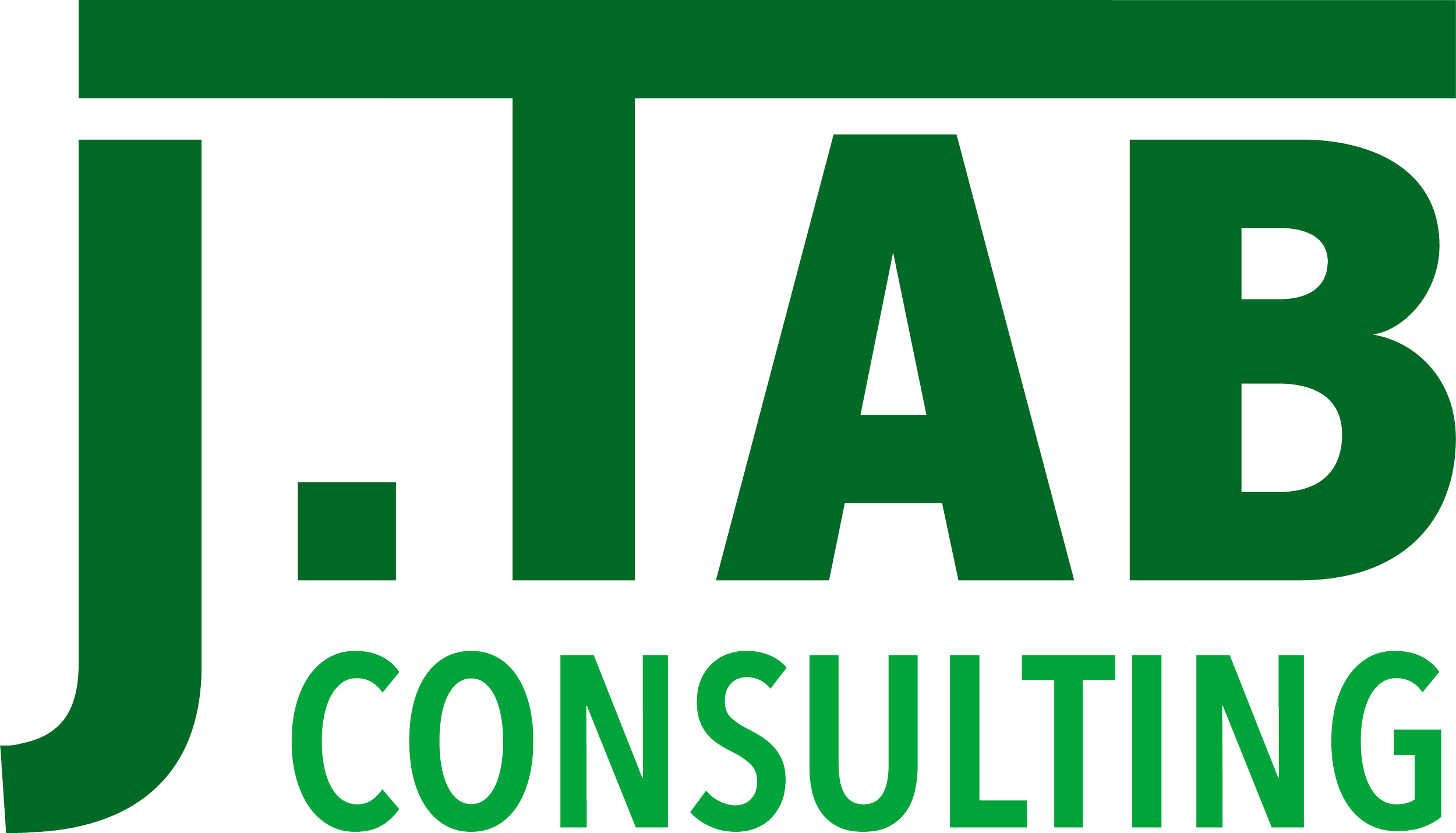 J. TAB CONSULTING LLC logo