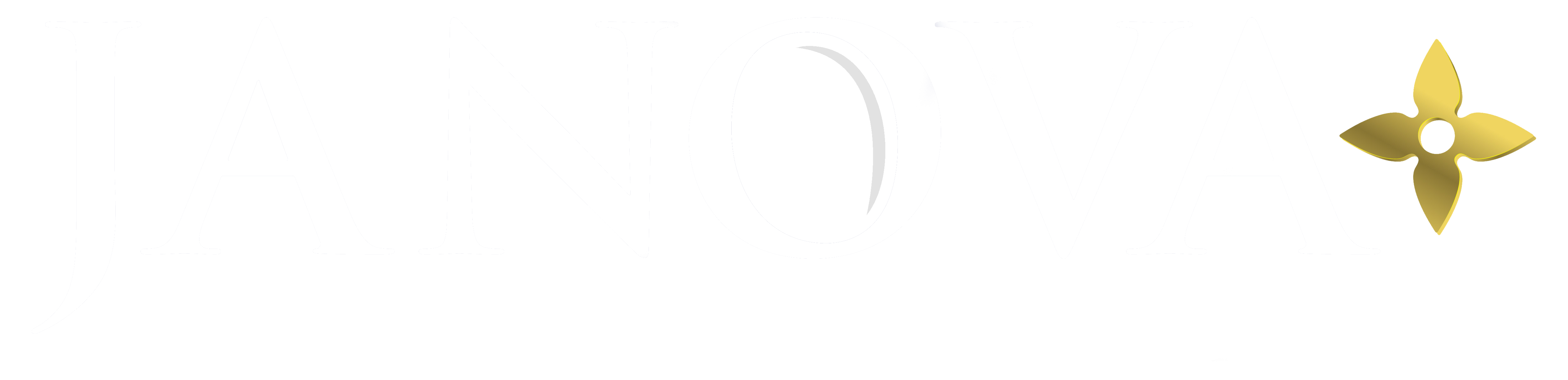 JANOVA CONSULTING LLC logo