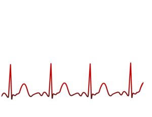 JCS SOLUTIONS LLC logo