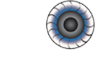 JDS INTERNATIONAL INC logo