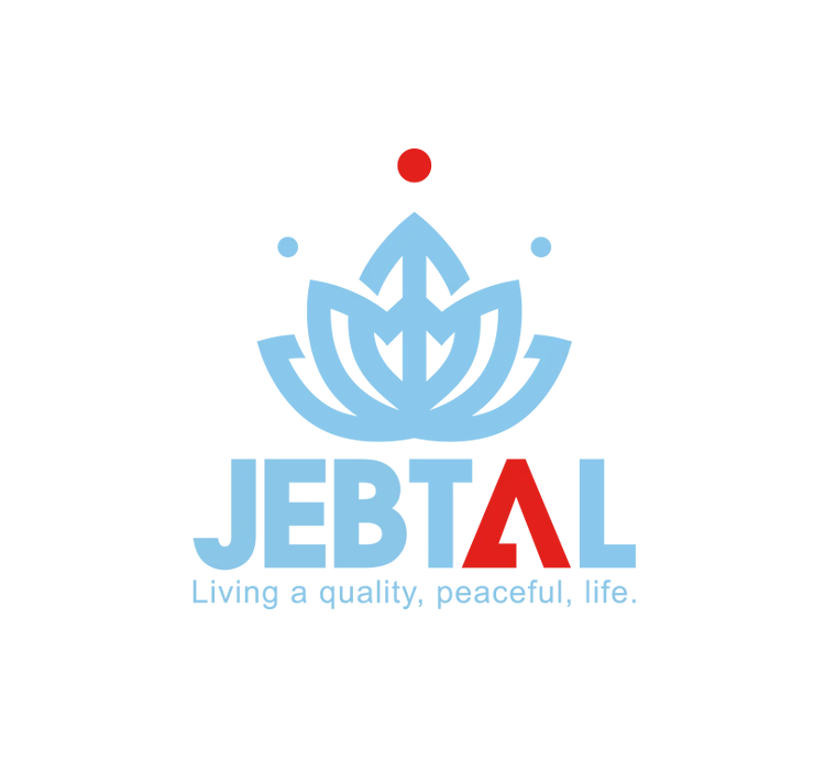 JEBTAL IMPORTS LLC logo