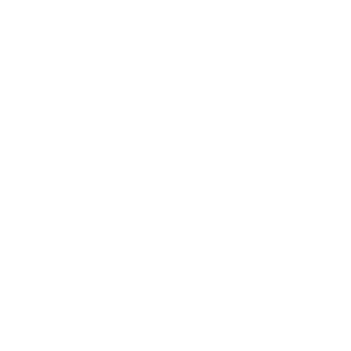 JETSETSTATE LLC logo